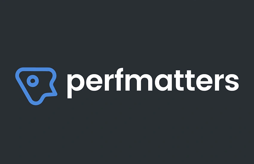 Perfmatters Pro
